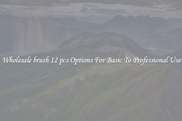 Wholesale brush 12 pcs Options For Basic To Professional Use