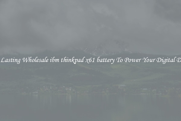 Long Lasting Wholesale ibm thinkpad x61 battery To Power Your Digital Devices