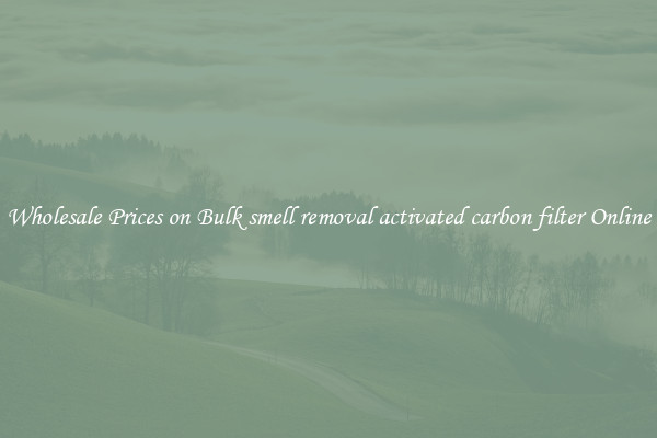 Wholesale Prices on Bulk smell removal activated carbon filter Online
