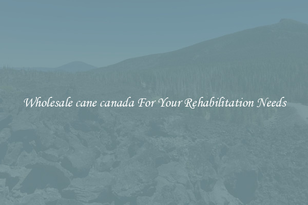 Wholesale cane canada For Your Rehabilitation Needs