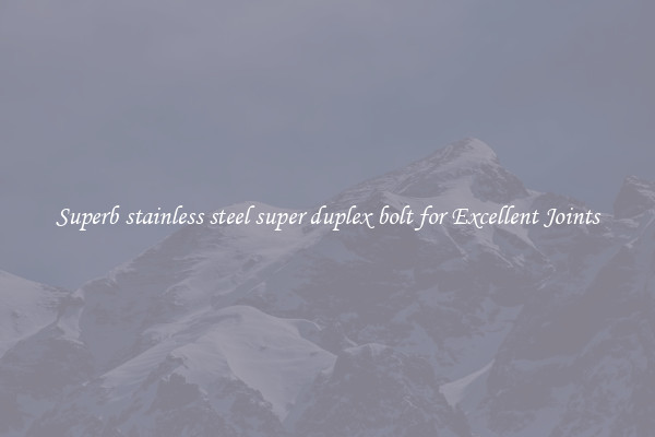 Superb stainless steel super duplex bolt for Excellent Joints