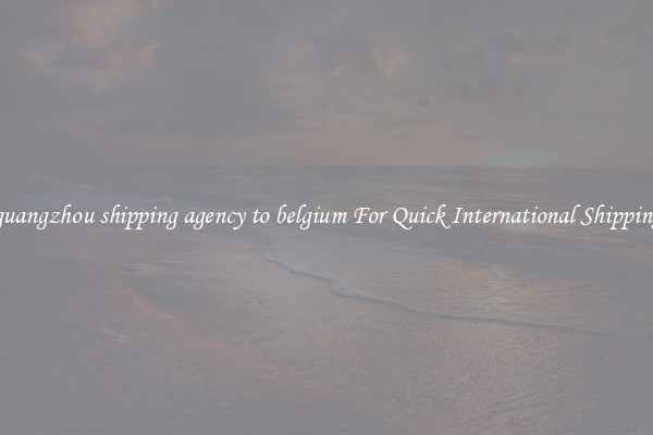 guangzhou shipping agency to belgium For Quick International Shipping