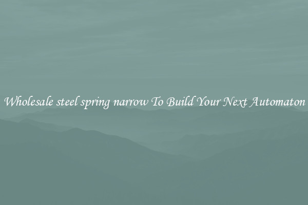 Wholesale steel spring narrow To Build Your Next Automaton