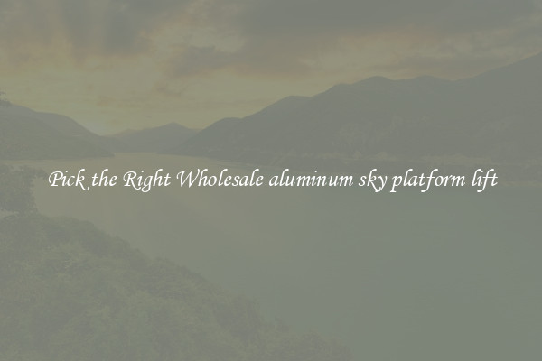 Pick the Right Wholesale aluminum sky platform lift