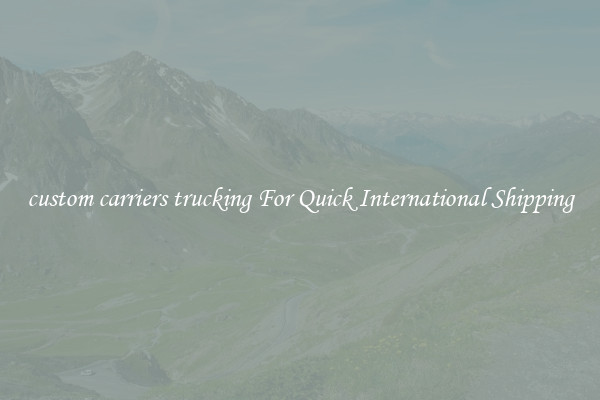 custom carriers trucking For Quick International Shipping