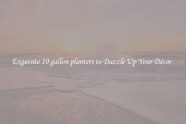 Exquisite 10 gallon planters to Dazzle Up Your Décor  