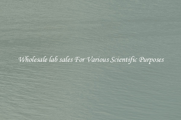 Wholesale lab sales For Various Scientific Purposes