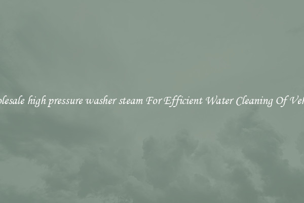 Wholesale high pressure washer steam For Efficient Water Cleaning Of Vehicles