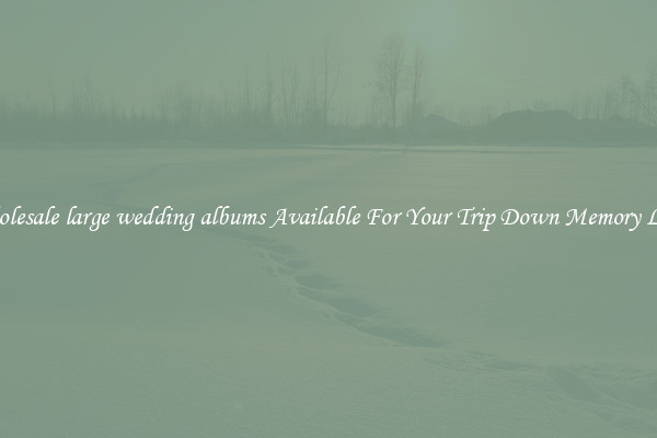 Wholesale large wedding albums Available For Your Trip Down Memory Lane