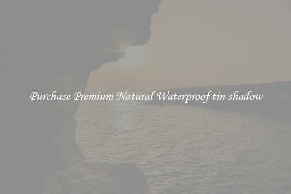 Purchase Premium Natural Waterproof tin shadow