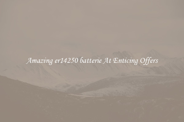 Amazing er14250 batterie At Enticing Offers