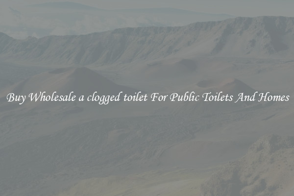 Buy Wholesale a clogged toilet For Public Toilets And Homes