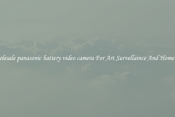 Wholesale panasonic battery video camera For Art Survellaince And Home Use