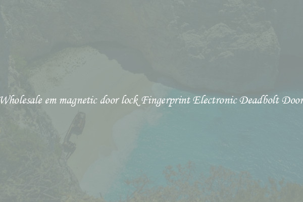 Wholesale em magnetic door lock Fingerprint Electronic Deadbolt Door 