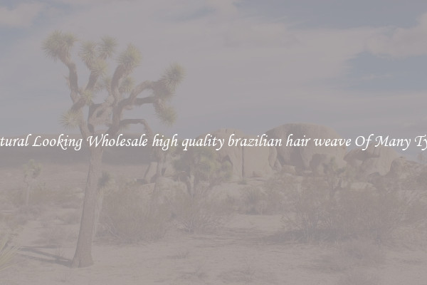Natural Looking Wholesale high quality brazilian hair weave Of Many Types
