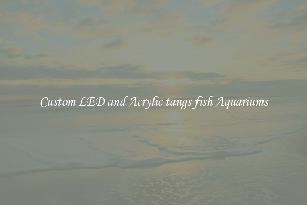 Custom LED and Acrylic tangs fish Aquariums
