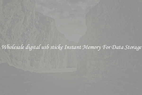 Wholesale digital usb sticke Instant Memory For Data Storage