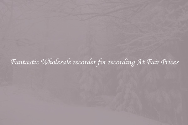 Fantastic Wholesale recorder for recording At Fair Prices