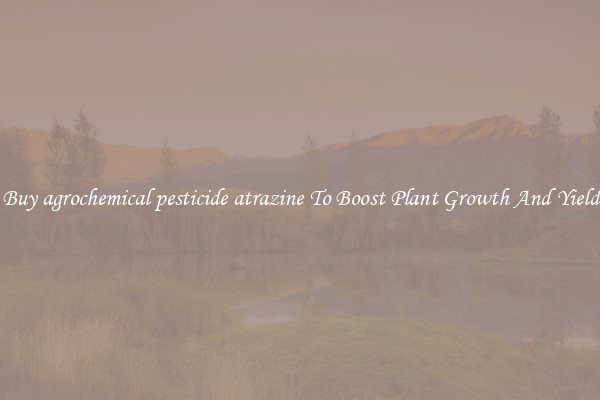 Buy agrochemical pesticide atrazine To Boost Plant Growth And Yield