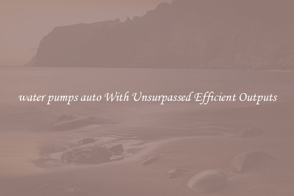 water pumps auto With Unsurpassed Efficient Outputs
