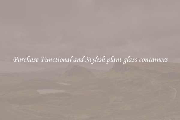 Purchase Functional and Stylish plant glass containers