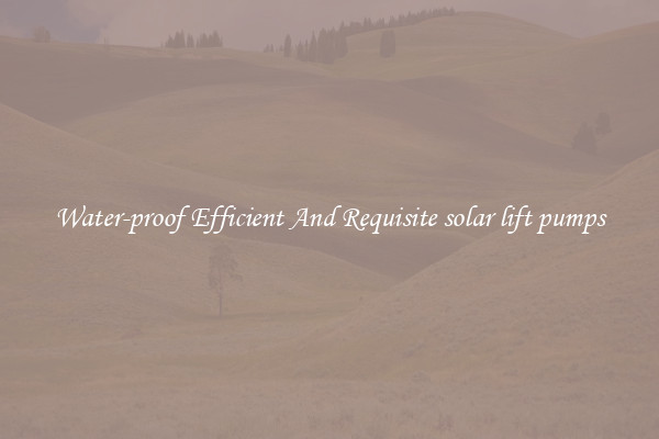 Water-proof Efficient And Requisite solar lift pumps
