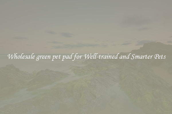 Wholesale green pet pad for Well-trained and Smarter Pets