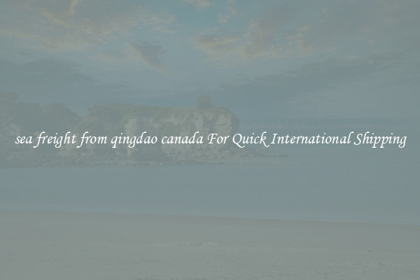 sea freight from qingdao canada For Quick International Shipping